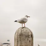 Herberg Aan De Haven
