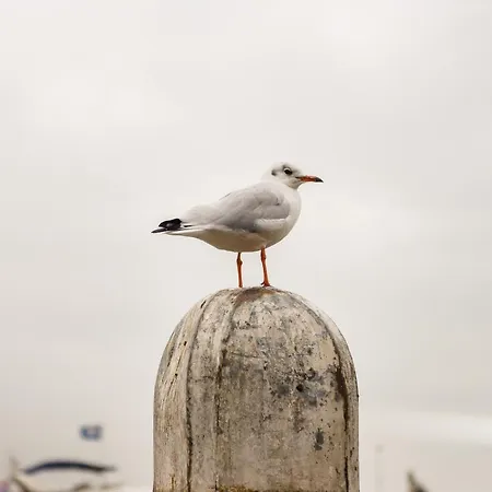 Penzion Aan De Haven