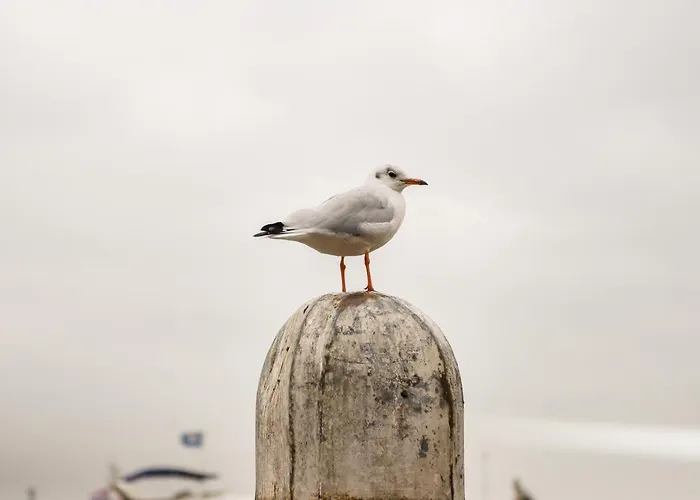 Herberg Aan De Haven